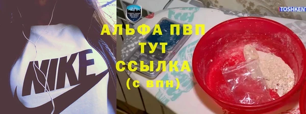 ешки Аркадак