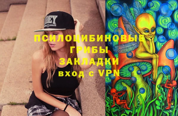 ешки Аркадак