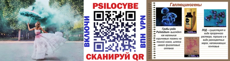 Псилоцибиновые грибы Magic Shrooms  купить наркоту  Дыгулыбгей 