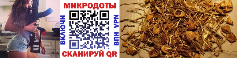 Галлюциногенные грибы Magic Shrooms Дыгулыбгей